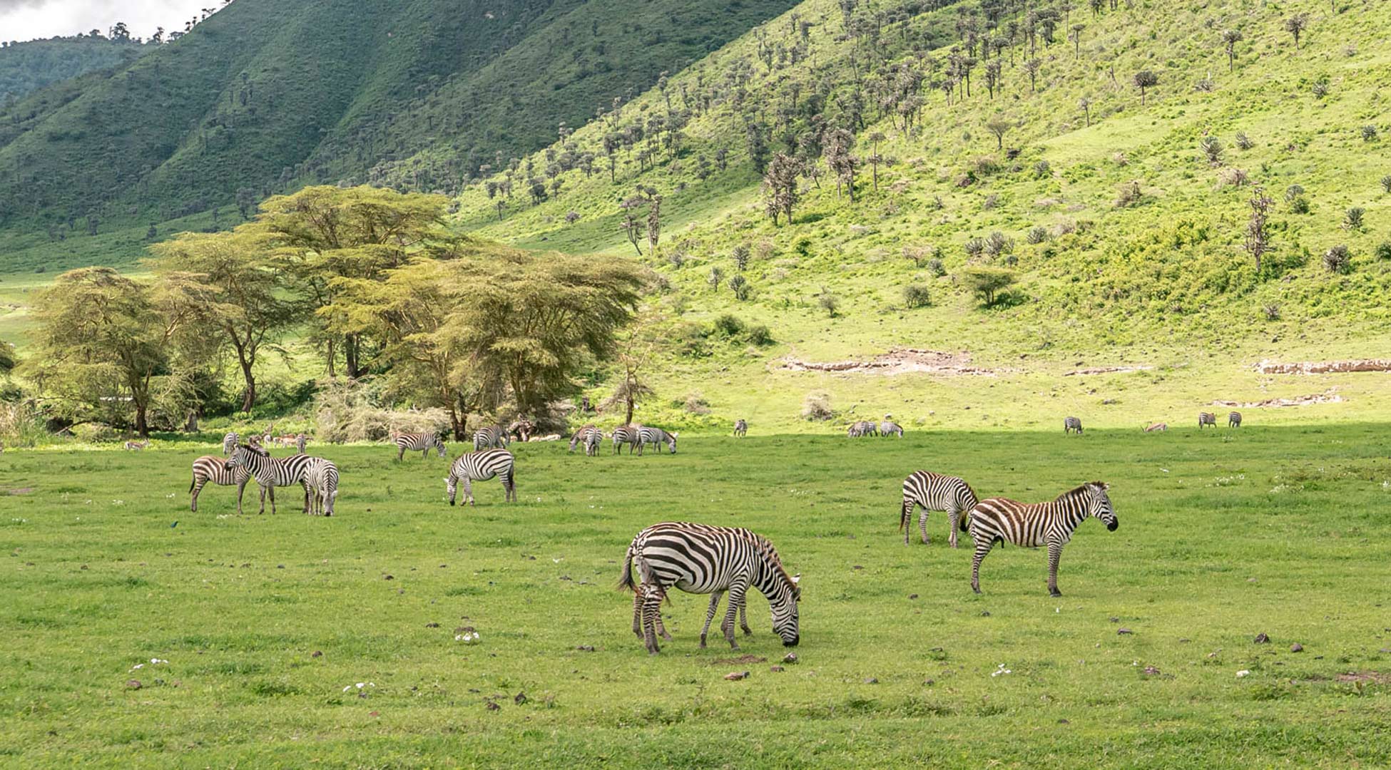 3-Day Safari Lake Manyara & Ngorongoro Crater