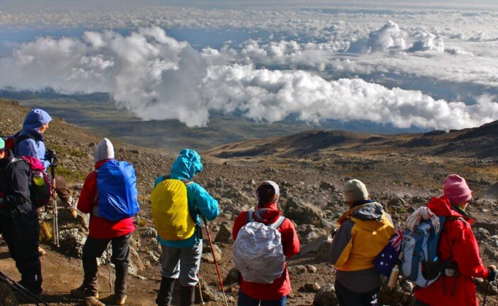 Lemosho Route Kilimanjaro Climbing